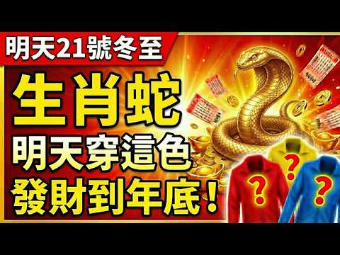 生肖蛇注意!明天12月21號,農曆十一月初二是「冬至」,你穿這顏色衣服必發財!讓你天天發財到年底!#屬蛇 #冬至 #屬蛇運勢 #生肖蛇運勢 #招財 #偏財運 #風水 #幸運顏色 #轉運 #生肖蛇