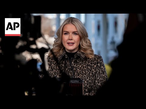 Leavitt defends Susie Wiles' Vanity Fair article: 'Wildly out of context'