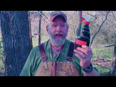 COON COLLECTOR raccoon bait, save hundreds of dollars