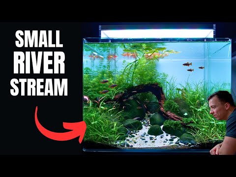 I MADE A RIVER AQUASCAPE FOR THE PERFECT NANO FISH! Aquascape Tutorial