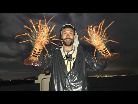 FOUND THEM! Spiny Lobster Catch, Clean and Cook! Day 2