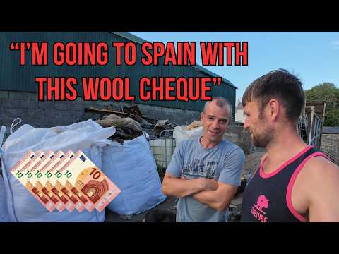 SHEEP 2025 - BIG IDEAS, SMALL FARMERS, WOOL PRICES ARE UP!