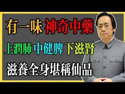 倪海廈：有一味神奇中藥，上潤肺，中健脾，下滋腎，滋養全身堪稱仙品!#倪海廈 #倪海廈中醫養生 #中醫健康  #中醫養生 #漢唐中醫 #健康飲食 #養生之道 #長壽秘訣 #養生知識