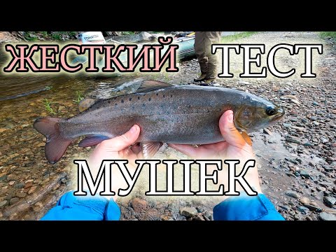 Тирольская Палочка На Хариуса и Ленка. Жесткий Тест Личинок Веснянки. Что стало с Новыми Лапками?