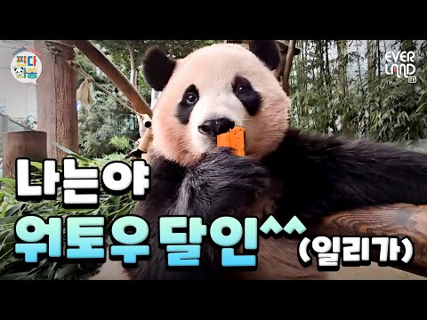 Hui's mukbang updates🍞 Now a water tower expert! (It's a lie lol)｜#PandaWasong #222