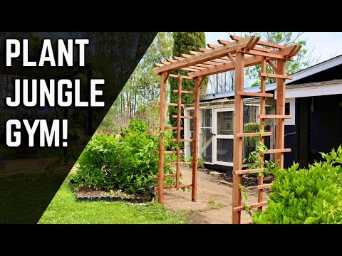 Simple DIY Wooden Garden Arbor | Redwood Trellis