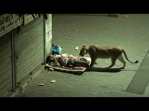 That Was Really Filmed on Camera