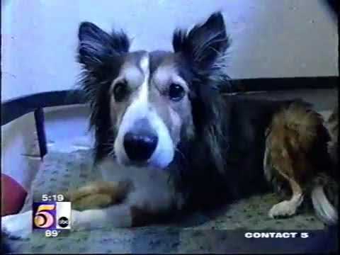 Top Dog Country Club on 5 Eyewitness News