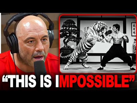 No One Believed These Bruce Lee Stories! Until They Watched This