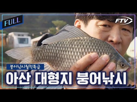 [Full] A Late Autumn Fishing Challenge at a Large Reservoir in Asan! [Carp Fishing Special/Episod...