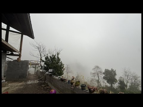 山里久违的阴雨天“山有俊琴 Shan You Junqin”正在直播！