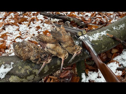 ❄️🍂პირველი თოვლი და ნადირობა ტყის ქათამზე სამეგრელოში🍁🪶