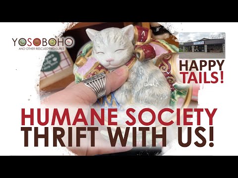 His idea! 🤗 Christmas Decor & More! THRIFT WITH US at the Humane Society's Happy Tails! 🐈‍⬛