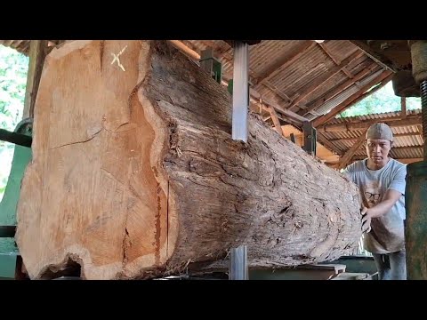 TEAK WOOD MONSTER! Splits Giant, Eternal Wood, and Turns It Into Planks in One Slash 