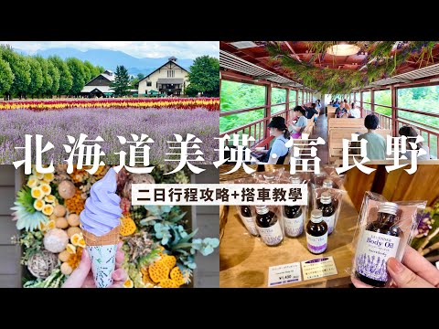 北海道美瑛．富良野二日行程｜富田農場薰衣草花田🪻、旭川飯店開箱🏨、夏季限定慢車號🚂、米其林炸蝦飯🍤｜北海道自助旅行 自由行景點推薦