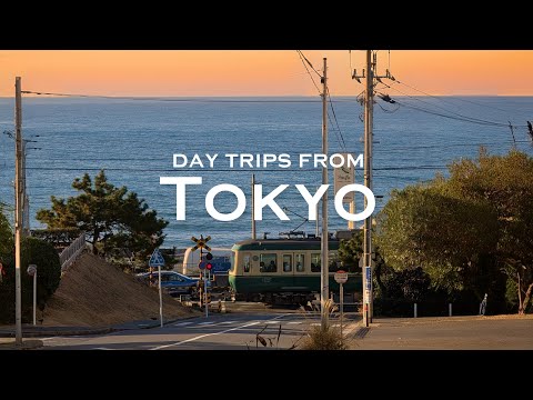 Tokyo Seaside & Mountain Day Trips | Kamakura & Mt. Takao | japan vlog