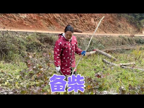 年关将至，很多朋友跟阿恋预定腊肉腊肠，夫妻俩先把柴火准备好了