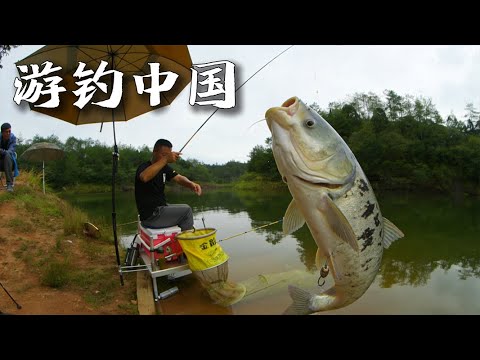 最新！老師傅遠赴深山，尋找最佳的野釣地點，憑藉高超技術釣上大魚！|《游釣中國》National tourism fishing EP40