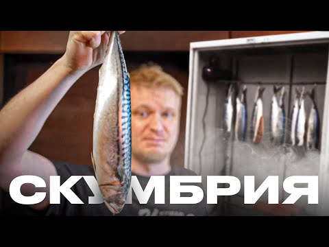 Cold-smoked mackerel. The exact recipe.