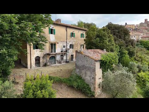 #2 First Discoveries at Our Abandoned Villa