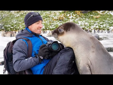 Animals Are The Friendliest in the World 🤣 Funny Animal and Human Videos 2025