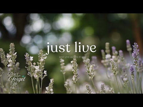 Just Live As Life It Is 💜🤍 Relaxing Guitar Music for Peace, Healing & Mindful Moments