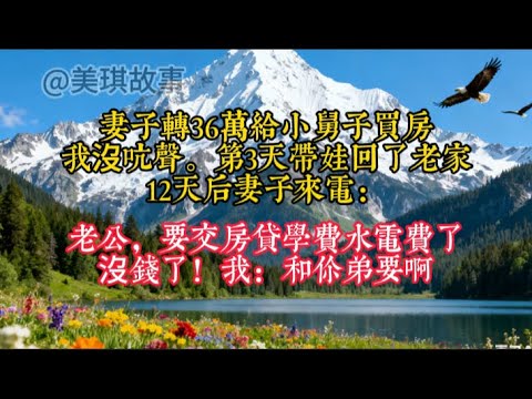 妻子轉36萬給小舅子買房，我沒吭聲。第3天帶娃回了老家，12天后妻子來電：老公，要交房貸學費水電費了，沒錢了！我：和你弟要啊#家庭矛盾 #情感 #情感故事