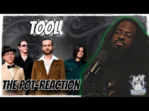 ANOTHER FIRST TIME LISTEN...I THINK!!! | TOOL- THE POT REACTION | THE PAUSE FACTORY