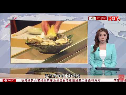 有線新聞 晚間新聞｜生蠔食物中毒涉兩供應商　食環署指示業界停售　採特別行動加強巡查｜賀錦麗團隊用「潮語」被批弄巧反拙｜最低工資擬加$1至43.1元｜HOY TV NEWS｜ 20260211