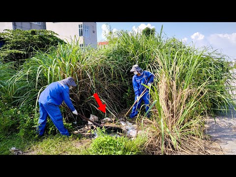 Neighbors Extremely Surprised When the Garbage and Overgrown Weeds Behind Their House were Cleared