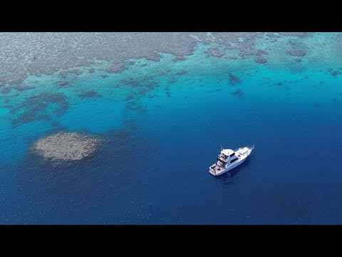 Brisbane to Cairns delivery on Merlin, my client’s Precision 65 gamefishing boat!