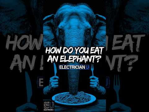 How Do You Eat An Elephant?