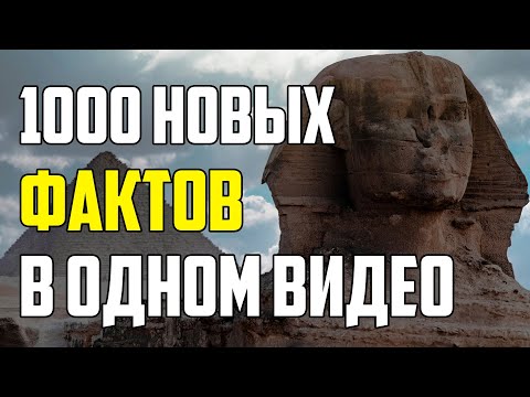 1000 НОВЫХ ФАКТОВ В ОДНОМ ВИДЕО