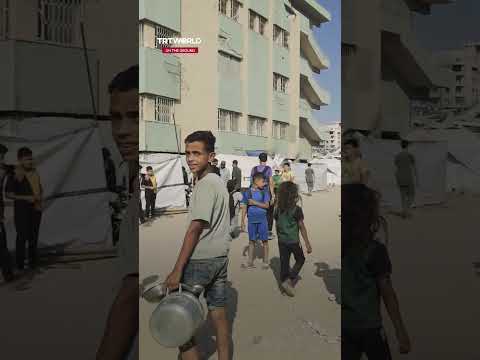 Gaza’s clowns spread Eid cheer to children in hospital