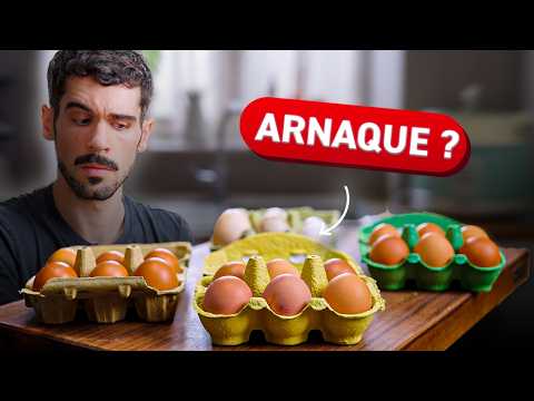 OEUFS : industriels VS fermiers… ça change VRAIMENT quelque chose ?