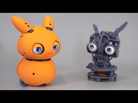 Turning a Raspberry Pi into a (Physical) Virtual Pet