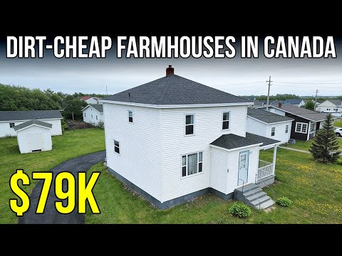 8 Dirt-Cheap Farmhouses in Newfoundland (Starting Under $80K CAD)