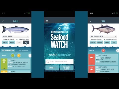 Seafood Watch: Empowering Sustainable Seafood Choices