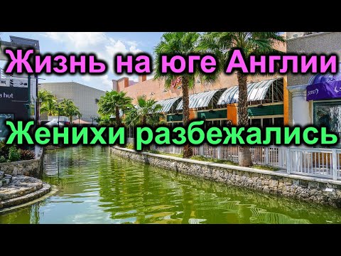 Жизнь на юге Англии. Одинокая зимовка