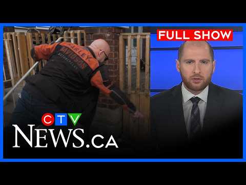 Rat infestation in London neighbourhood | CTV News London at 6, Thurs. March 5, 2026