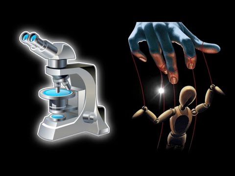 What Science Says About Free Will