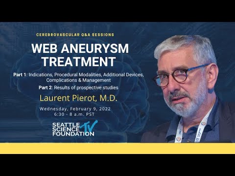 WEB Aneurysm Treatments - Laurent Pierot, MD