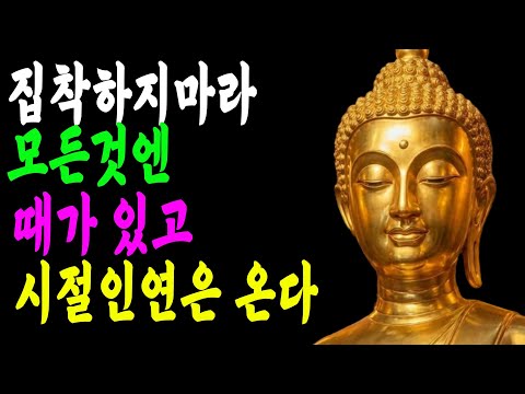부처님 말씀 ㅣ집착하지 마라 애쓰면 더 혼란스럽다 ㅣ때가 되면 시절인연은 저절로 찾아온다
