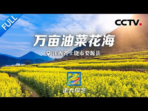 【Full】江西省上饶市婺源县旅行线路攻略来啦！置身万亩油菜花的金色海洋，看2000多对鸳鸯戏水的盛大景象 | CCTV「正大综艺」20230430