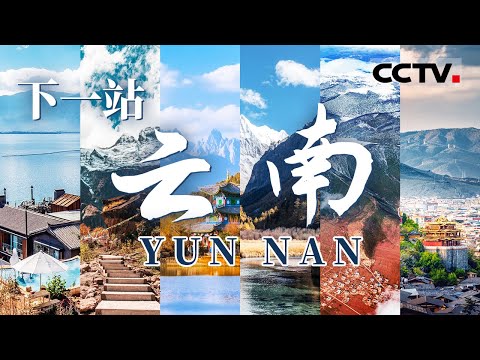 羡慕云南人！雪山花海美到极致 香格里拉仿若云外人间 一起去有风的地方！【CCTV纪录】