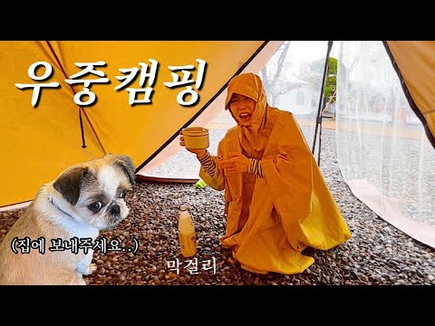 Camping on a rainy day, a bowl of makgeolli, and camping in the rain (even getting a puppy kidnap...