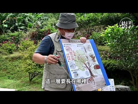 【樹呆子小學堂】瞭解樹，是愛樹的第一步！