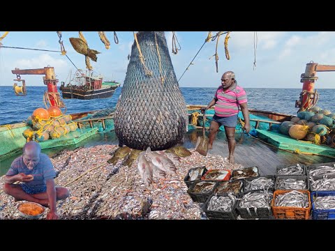 Day -6||Epic 2💢 Wonderful💯 Our Nets Were Filled With Big Sea Fish Today ‼️