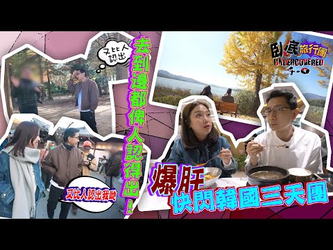 《臥底旅行團4.0》EP4:爆肝快閃韓國三天團。阿正、妹頭喺韓國去到邊都俾人認得出!食完人蔘雞會係咁放屁?|李尚正 阿正|盧頌恩 妹頭|HOY 77