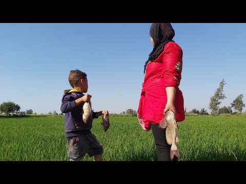 أغرب شيء من الزوجه لما تستهزأ ع الحاج زموط بسبب السمك وشي غير متوقع من عكوش وقنديل